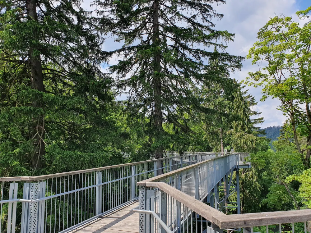 Baumwipfelpfad Harz